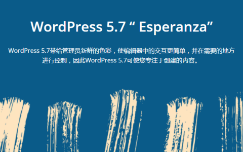 WordPress 5.7发布 版本简述